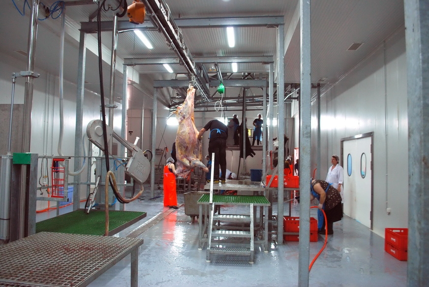 1 იანვრიდან სასაკლაოებისა და რძის საწარმოებისთვის HACCP-ი სავალდებულო გახდება