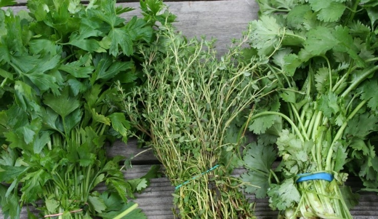Georgian Herbs Will Cost 2-4 Euro per Kilo in the European Market