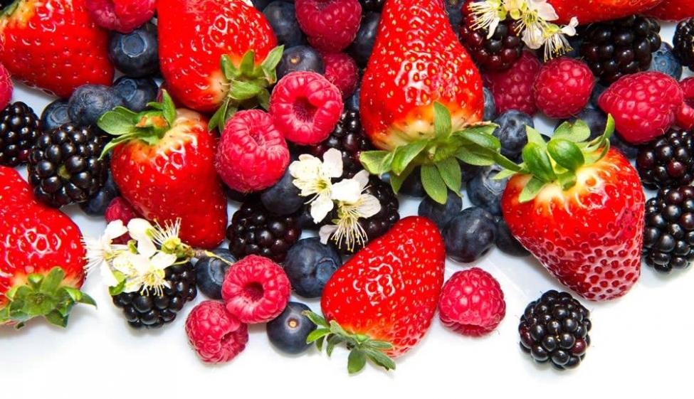   Increasing demand and competition on the berries' world market
