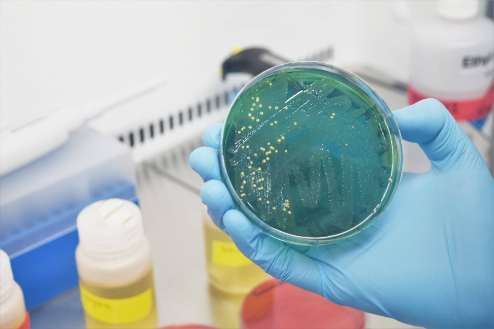 2018 წელს ლაბორატორიაში ანტიბიოტიკზე თაფლის მხოლოდ 7 ნიმუში შემოწმდა