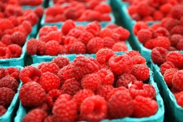 "Raspberries should cost at least 6 GEL  in order to make profit for farmer”